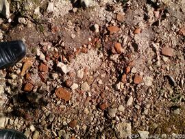 Fotografia do imovel e area envolvente