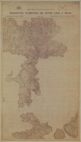 Perímetro Florestal - 41B [s.d.]