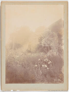 Fotografia - Paisagem / Retrato - Viagens Reais – D. Afonso, Rainha D. Maria Pia, em cima de um r...