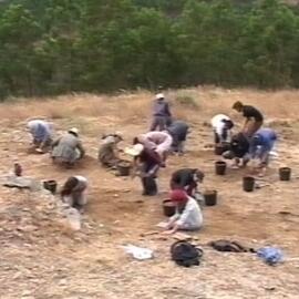 "O Sítio do Castelo Velho"