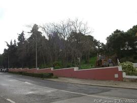 Fotografia 012