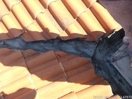 Fotografia 013