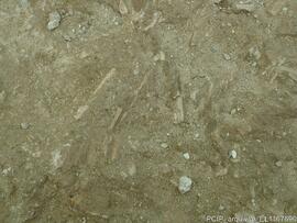 Sondagens  arqueológicas