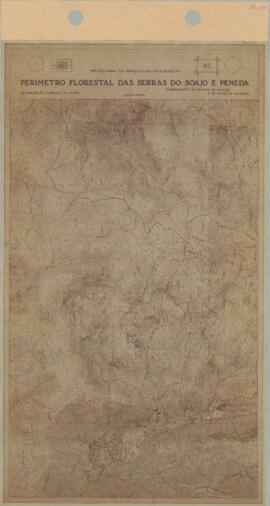 Perímetro Florestal - 9C [s.d.]