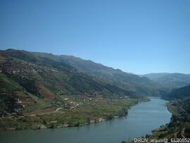 Fotografia 004