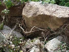 Derrocada de muro da cerca