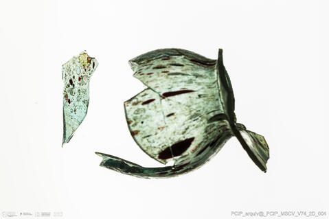 Open original Objeto digital