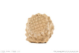 Fragmento alcachofra