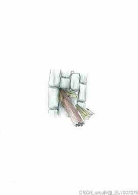 Ilustração 003
