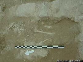 Sondagens  arqueológicas