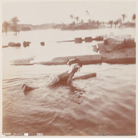 Álbum fotográfico - Viagem de Fev-Mai 1903 ao Mediterrâneo