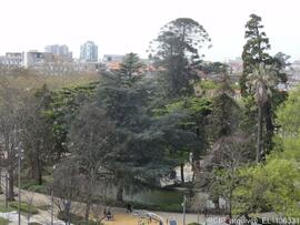 Fotografia 005