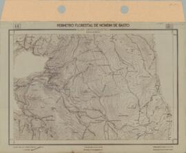 Perímetro Florestal - Planta Aerofogramétrica (1959-04)