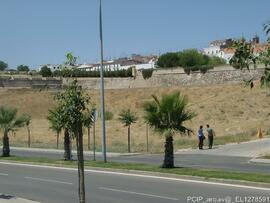 Fotografia 003