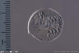 Denarius
