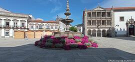 Envolvente – Chafariz da Praça da Rainha