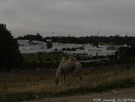 Fotografia 004