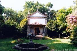 Fotografia 006
