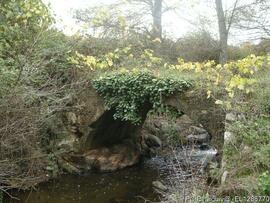 Fotografia 001