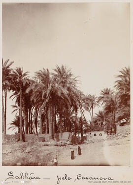 Álbum fotográfico - Viagem de Fev-Mai 1903 ao Mediterrâneo