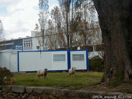 Fotografia 007