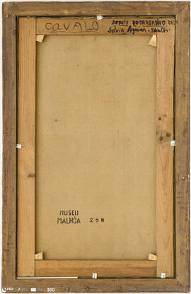 Cavalo depois do Trabalho