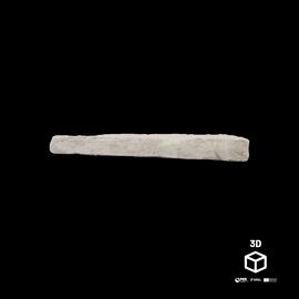 Tijolo com pegadas de Bode