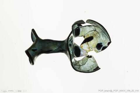 Open original Objeto digital