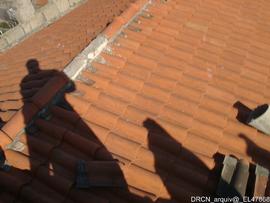Fotografia 011