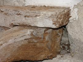 Órgão - pormenor estrutura - ataque térmita - restauro MDF