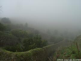 Fotografia 009