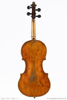 Violino