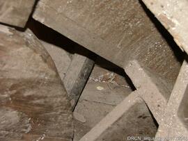 Estrutura de sustentação