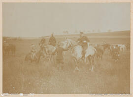 Álbum fotográfico - Passeios no Campo; saltos a cavalo; etc