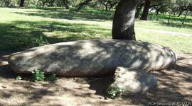 Fotografia 001