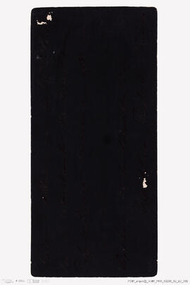 Álbum de fotografias da Kermesse de 1884