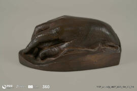 Mão do Abade de Baçal