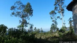 Fotografia