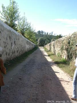 Fotografia 003