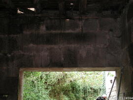 Fotografia 005