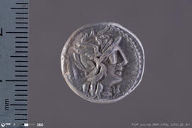 Denarius