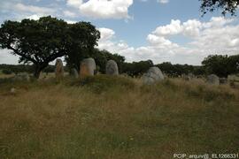 Fotografia 007