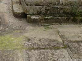 Fotografia 011