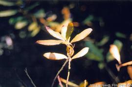 Fotografia 005