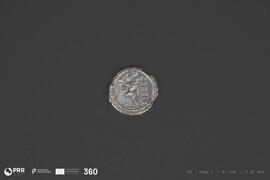 Denário Família Iulia