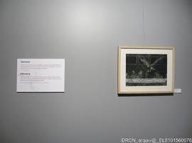 Fotografia 005