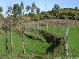 Fotografia 022