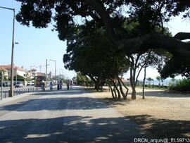 Fotografia 012
