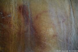 Fotografia 008