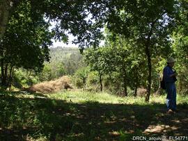 Fotografia 015